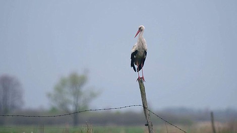 Daleko od miasta 9 (7)