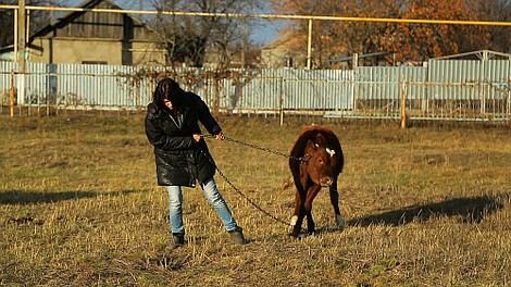 Damy i wieśniaczki. Ukraina 7 (1/20)