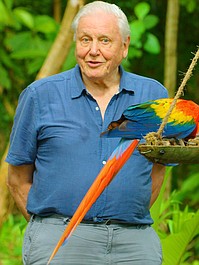 David Attenborough: życie w kolorze (1)