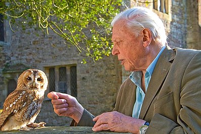 David Attenborough i cuda natury 2 (2)