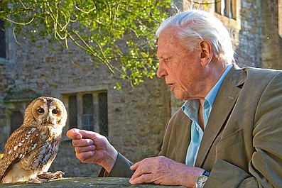 David Attenborough i cuda natury 2 (3)