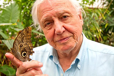 David Attenborough i cuda natury 2 (2)