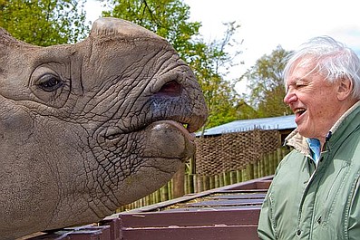 David Attenborough i cuda natury 2 (6)