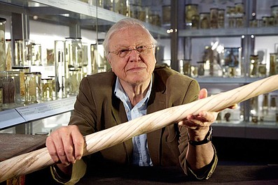 David Attenborough i osobliwości świata przyrody (1)