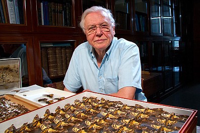 David Attenborough i cuda natury 2 (1)