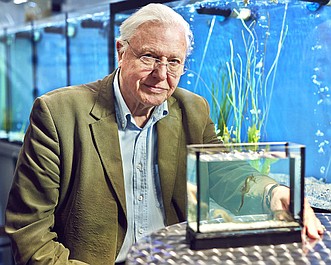 David Attenborough i cuda natury 2: Warstwy ochronne (2)