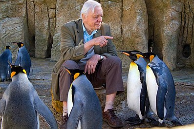 David Attenborough i cuda natury 2 (8)