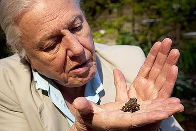 David Attenborough i cuda natury (1)