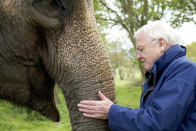 David Attenborough i osobliwości świata przyrody: Warstwy ochronne (2)