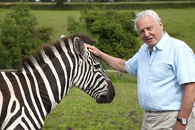 David Attenborough i osobliwości świata przyrody (1)