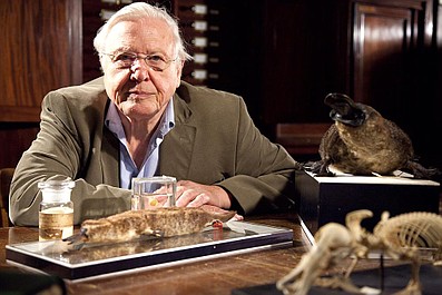 David Attenborough i osobliwości świata przyrody (6)