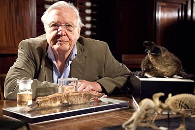David Attenborough i cuda natury 3 (6)