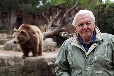 David Attenborough i cuda natury 4 (2)