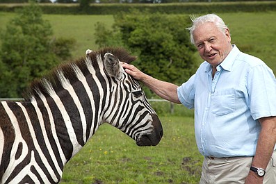 David Attenborough i cuda natury: Kuriozalna mistyfikacja (2)