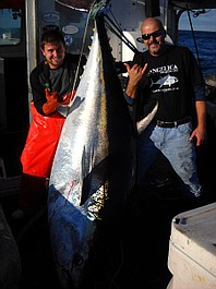 Dorwać tuńczyka (8)