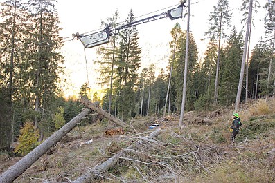 Drwale z Dolomitów (5)