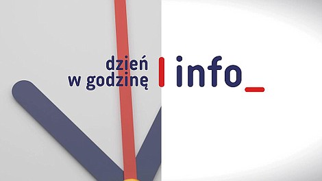 Dzień w godzinę