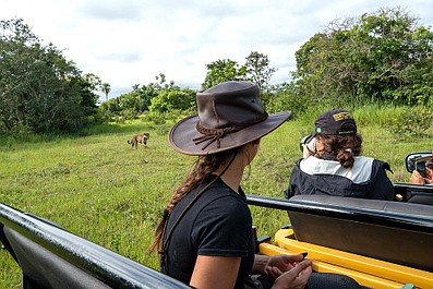 Dzienniki jaguara: Powrót królowej (4)