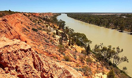 Dzika Australia: Jurajska dżungla (2/4)