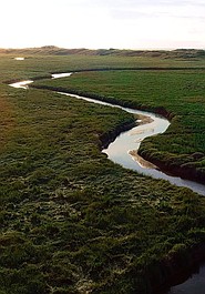 Dzika Belgia: Wodny świat (1)