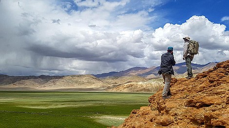 Dzikie koty z Indii: Królestwo ibrisa (1)