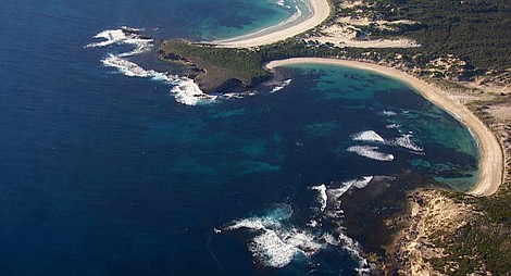 Dzikie opowieści: Uchatka australijska i jej królestwo (1)