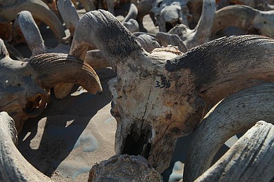 Egipt: Miejsce pełne tajemnic: Macedoński faraon (7)