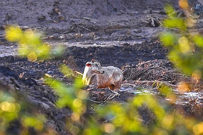 Ekstremalne katastrofy: Katastrofy morskie (2)