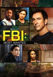 FBI: Most Wanted 4 (12)