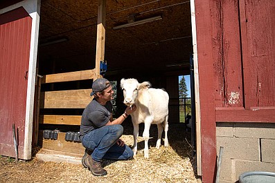 Farma pełna miłości: Na ratunek kozom