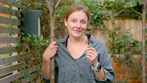 Gardeners' World - rok w ogrodzie (1)