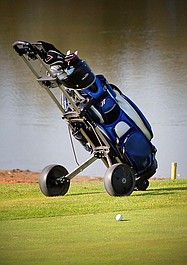 Golf: Wells Fargo Championship