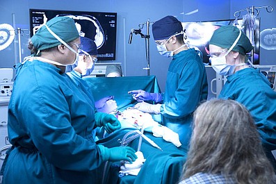 Good Doctor (2)