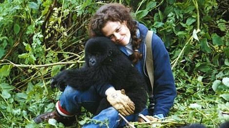 Goryle we mgle: Historia Dian Fossey