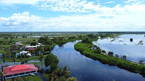 Gujana: Wybrzeże hoacynów (1)