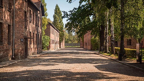 Historia Auschwitz w 33 przedmiotach: Historia Auschwitz w przedmiotach (4)
