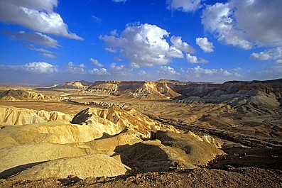 Izrael - skarby dzikiej przyrody: Życie wokół Morza Martwego (2)