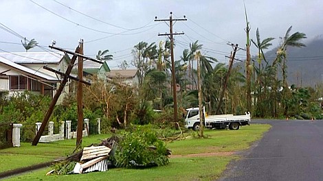 Jak przetrwać w Australii: Busz (4)