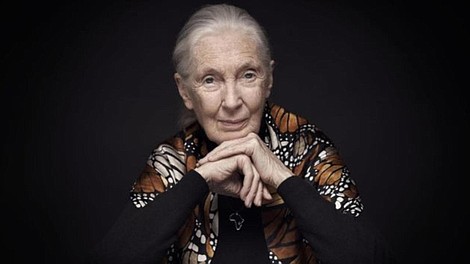 Jane Goodall: nowe pokolenie