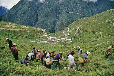 Jaskiniowcy z Himalajów