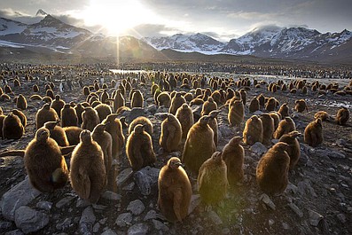 Jedna planeta. Siedem kontynentów: Azja (2)