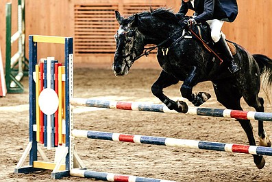 Jeździectwo: Turniej Wielkiego Szlema w Genewie