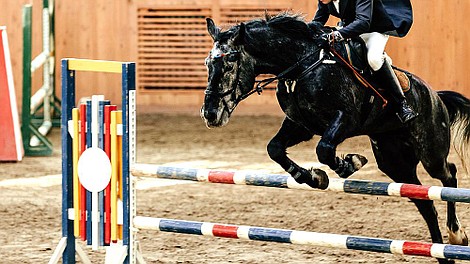 Jeździectwo: Zawody w Bordeaux