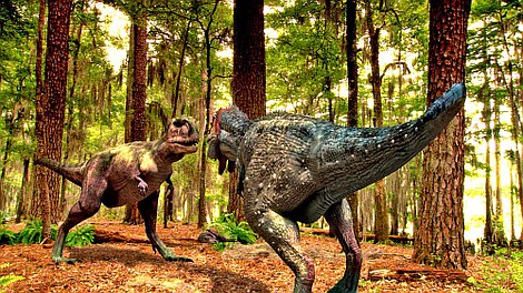Jurajscy wojownicy: Dinozaur kanibal (1)
