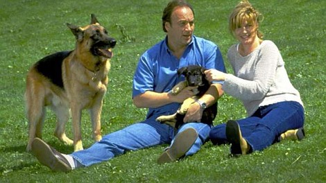 K9: P.I.