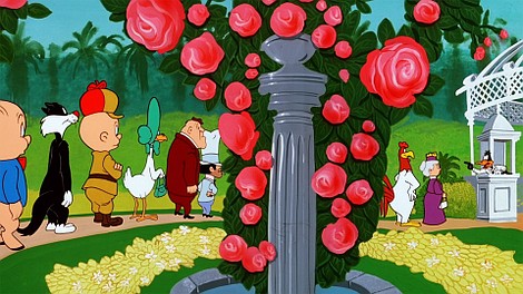 Kaczor Daffy - fantastyczna wyspa