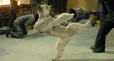 Karate na cztery łapy