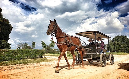 Kobieta na krańcu świata (6/9)