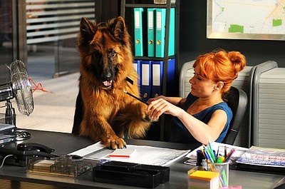 Komisarz Alex 2: Zabójcza dawka (23)