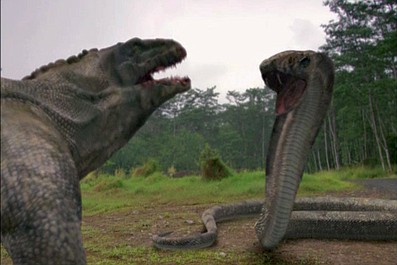 Komodo vs. kobra: starcie potworów